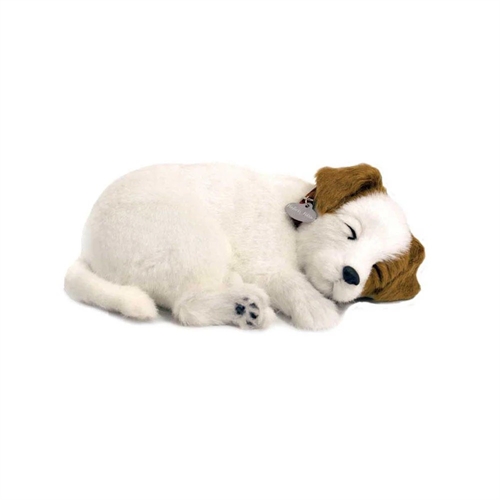 Hundehvalpen Leif